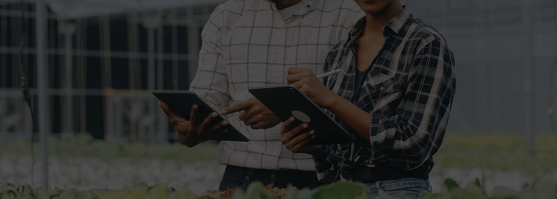 VEJA A EXECU��O DE NOSSOS PROJETOS EM DETALHES, DA CONCEP��O � ENTREGA